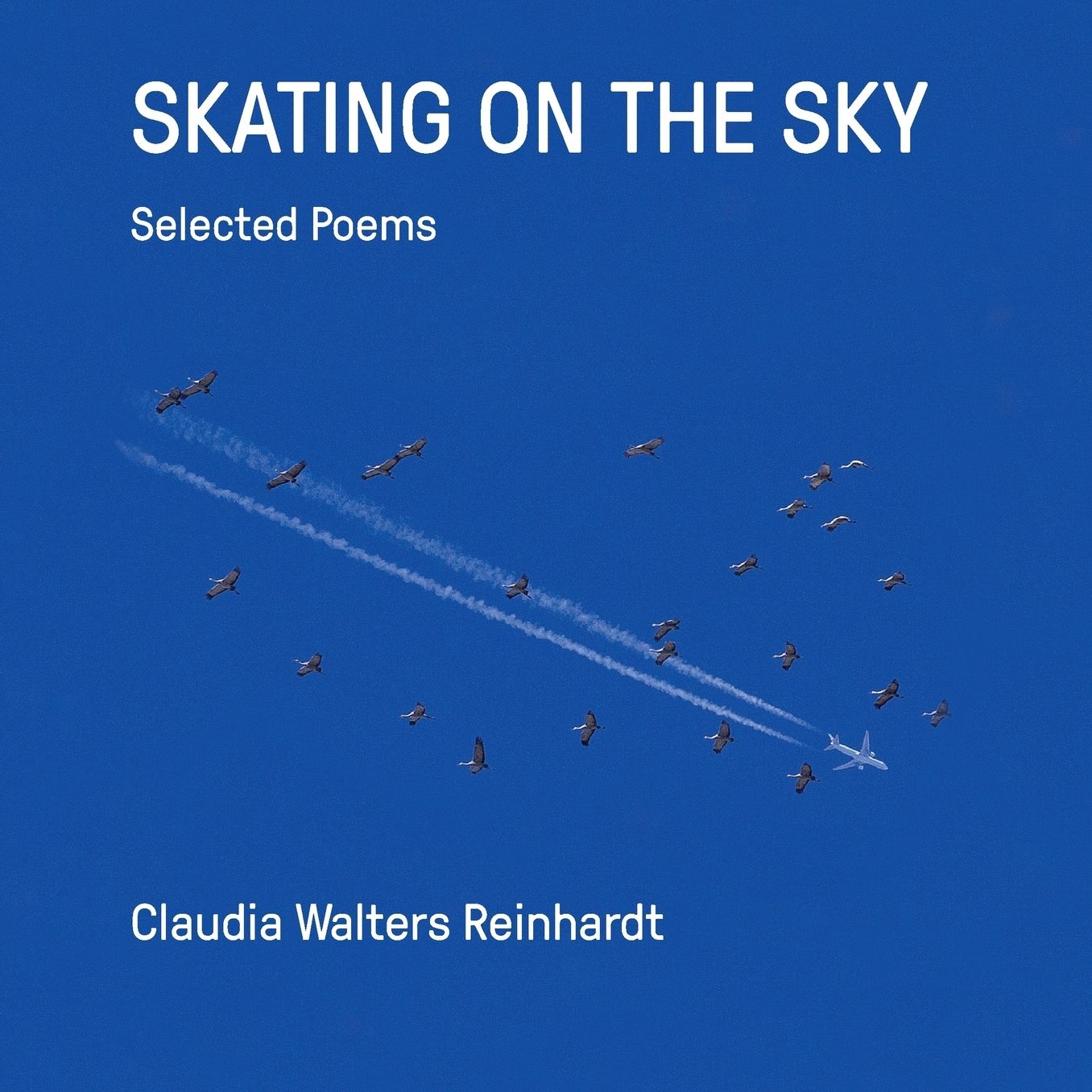 Skating on the Sky: Selected Poems