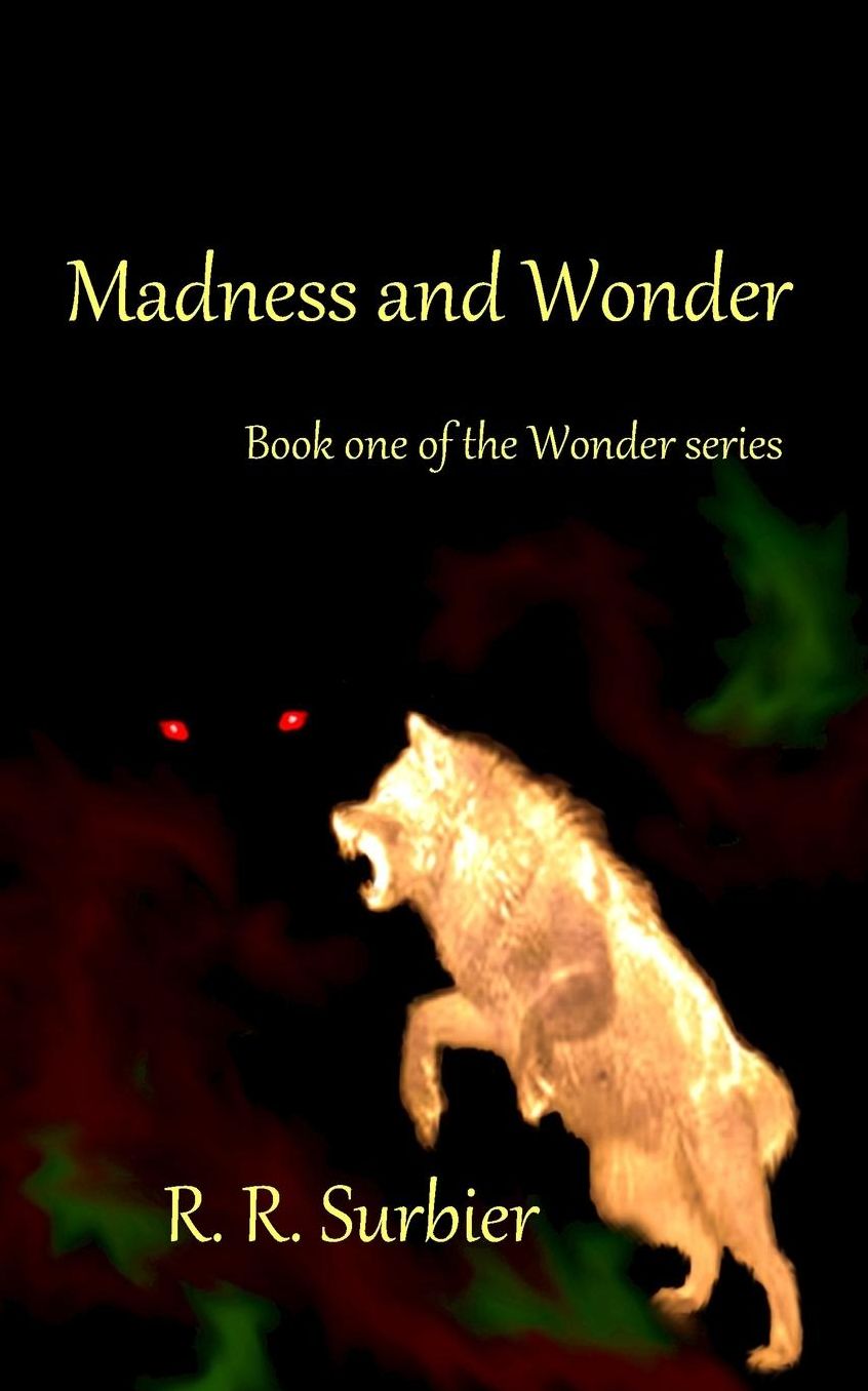 Madness and Wonder: Book one of the Wonder series