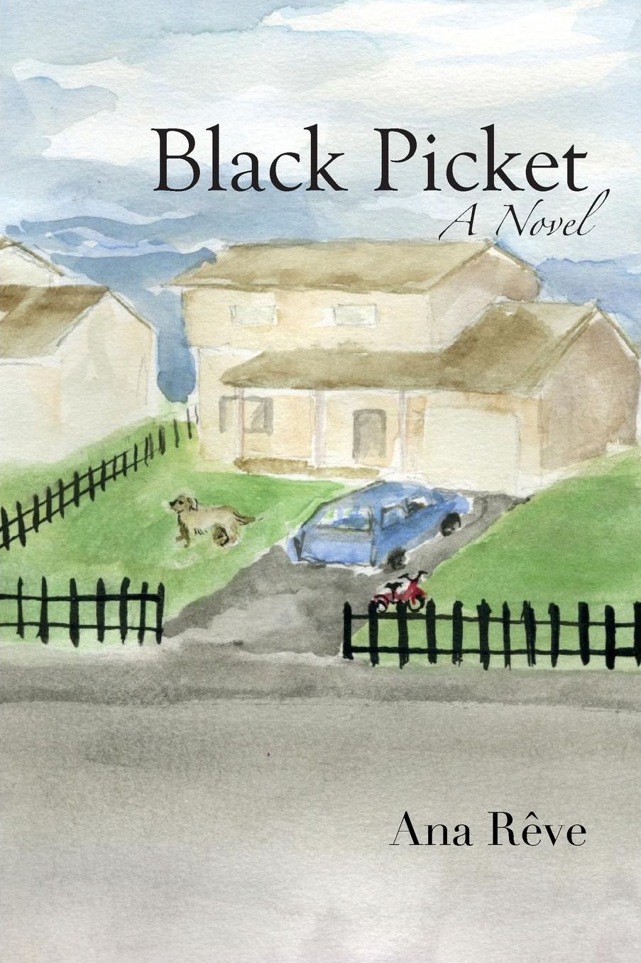 Black Picket: a novel