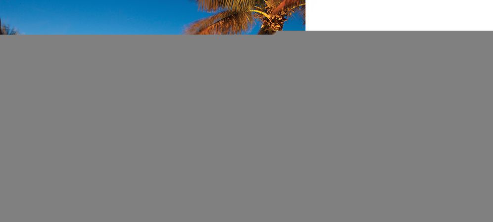 I Do... Destination Florida: No Passport Required