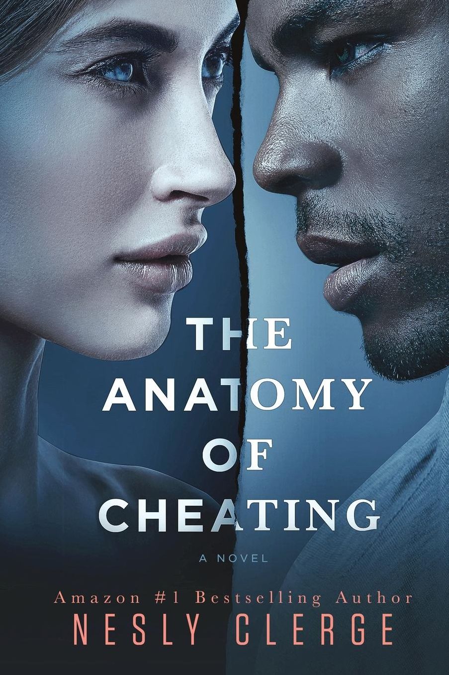 The Anatomy of Cheating: A Novel