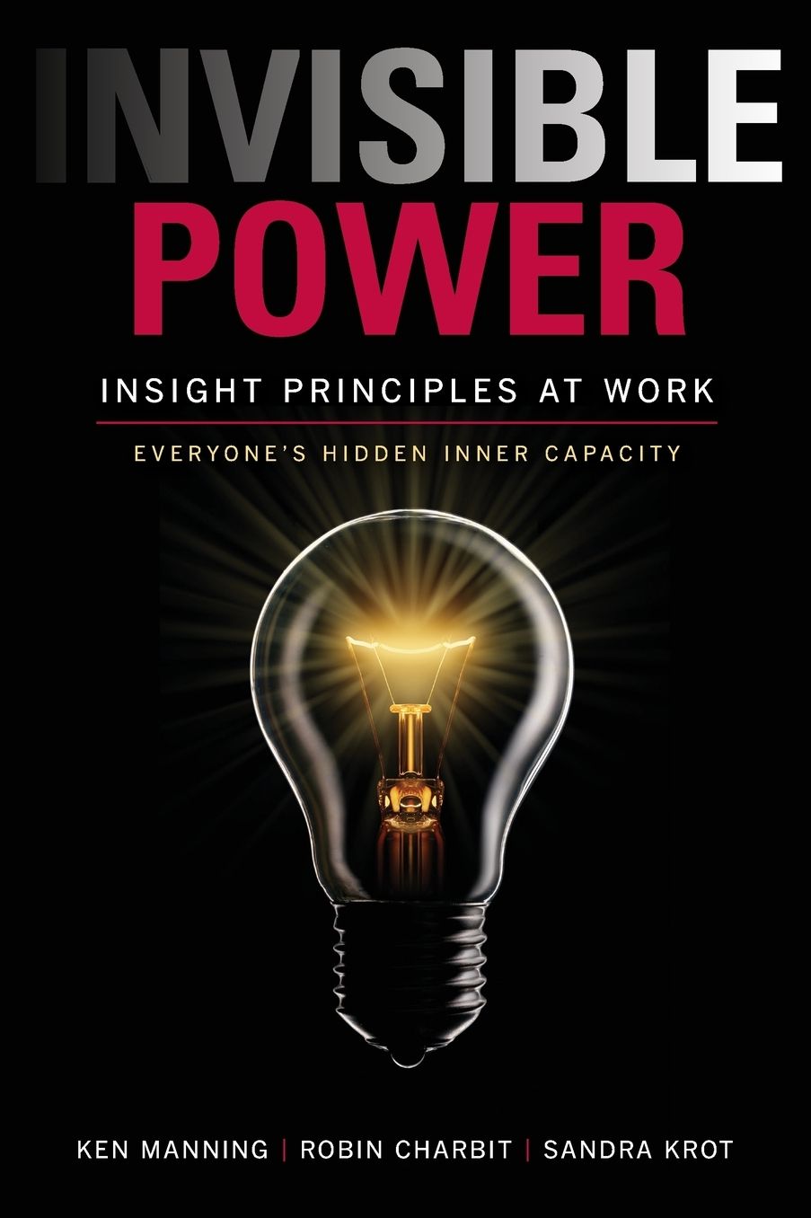 Invisible Power: Insight Principles at Work: Everyone's Hidden Capacity