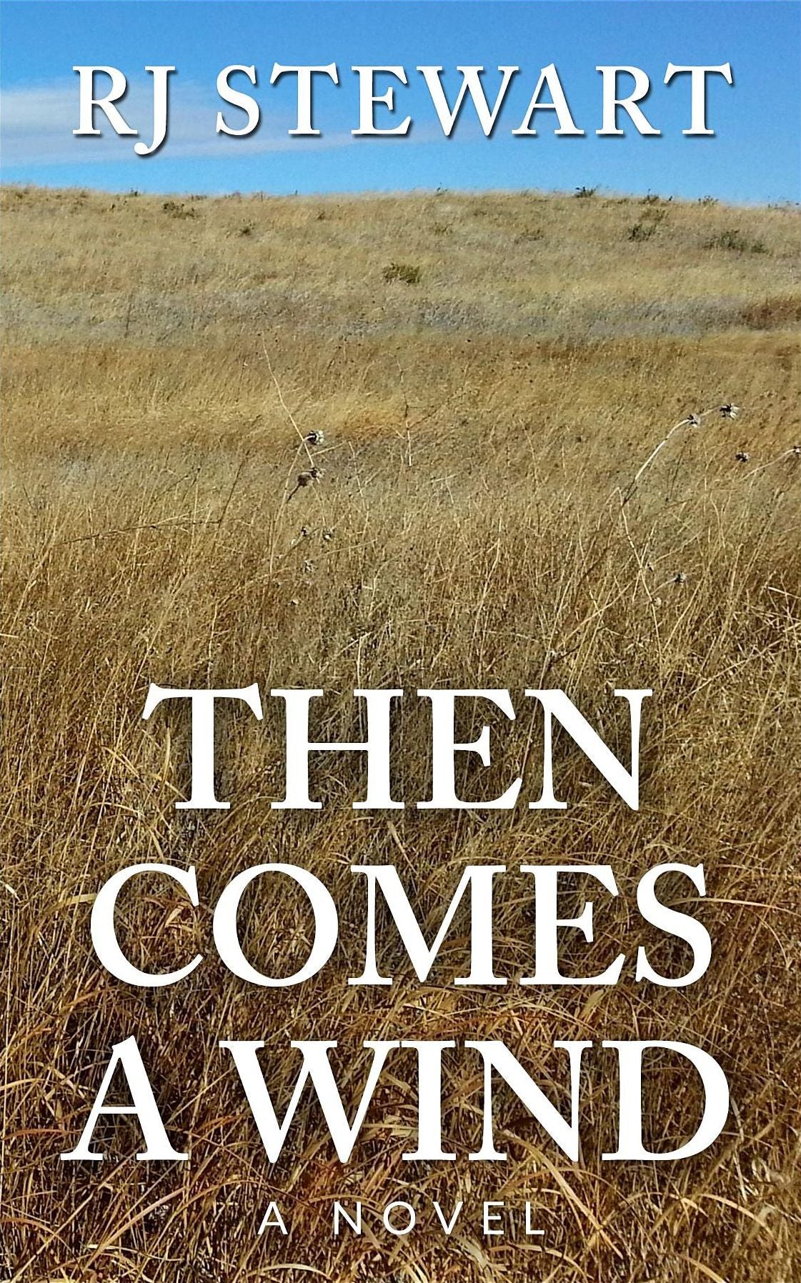 Then Comes A Wind: a novel