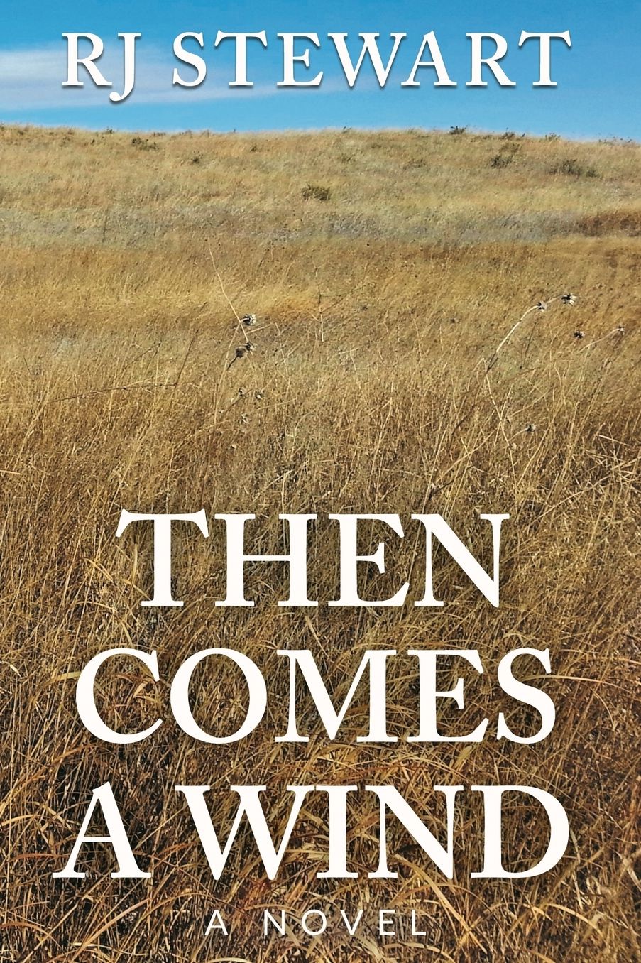 Then Comes A Wind: a novel