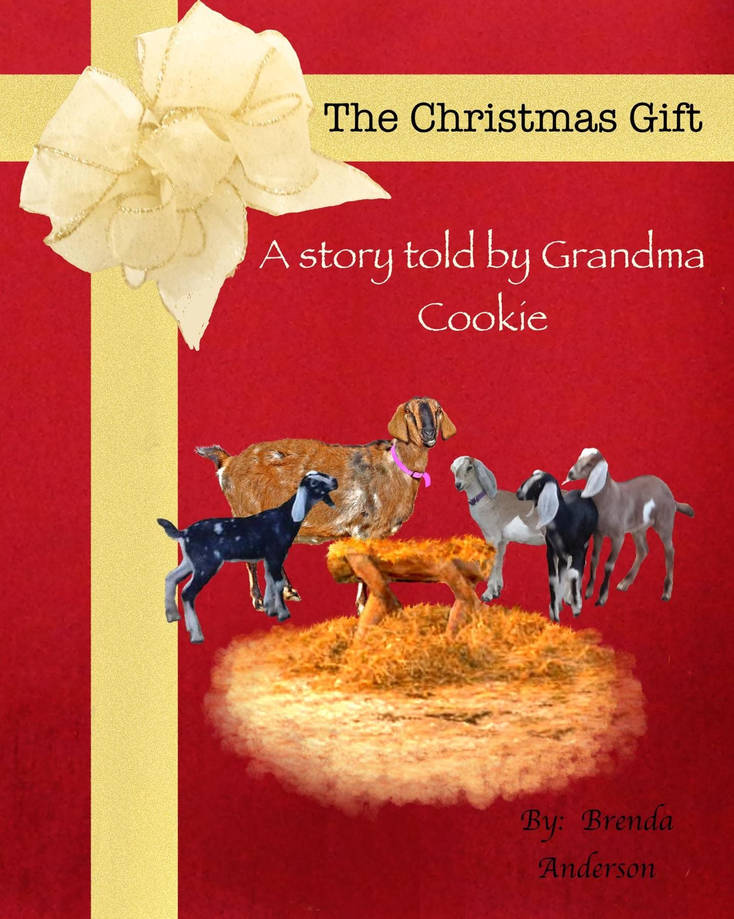 The Christmas Gift: A story told by Grandma Cookie