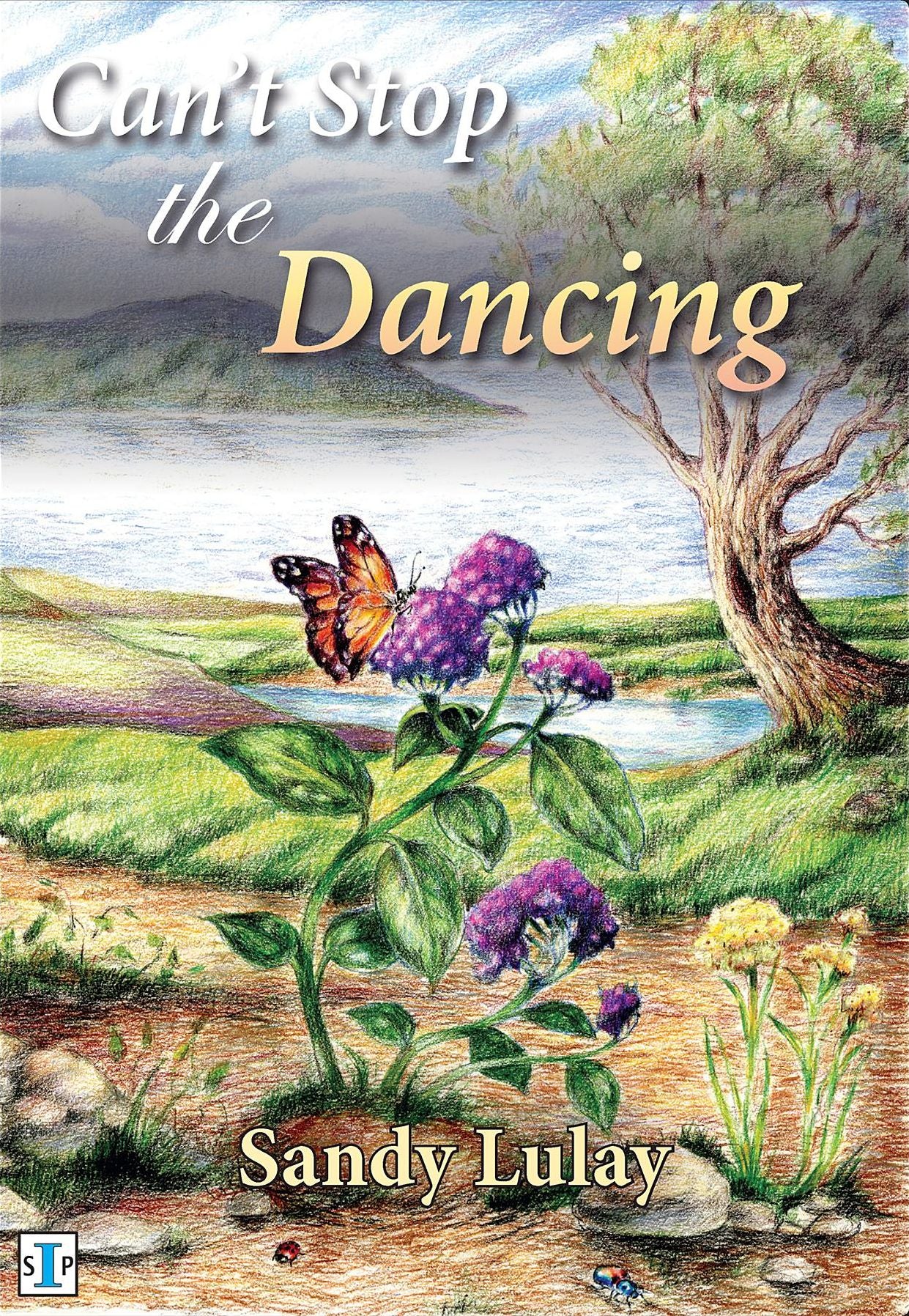 Can't Stop the Dancing