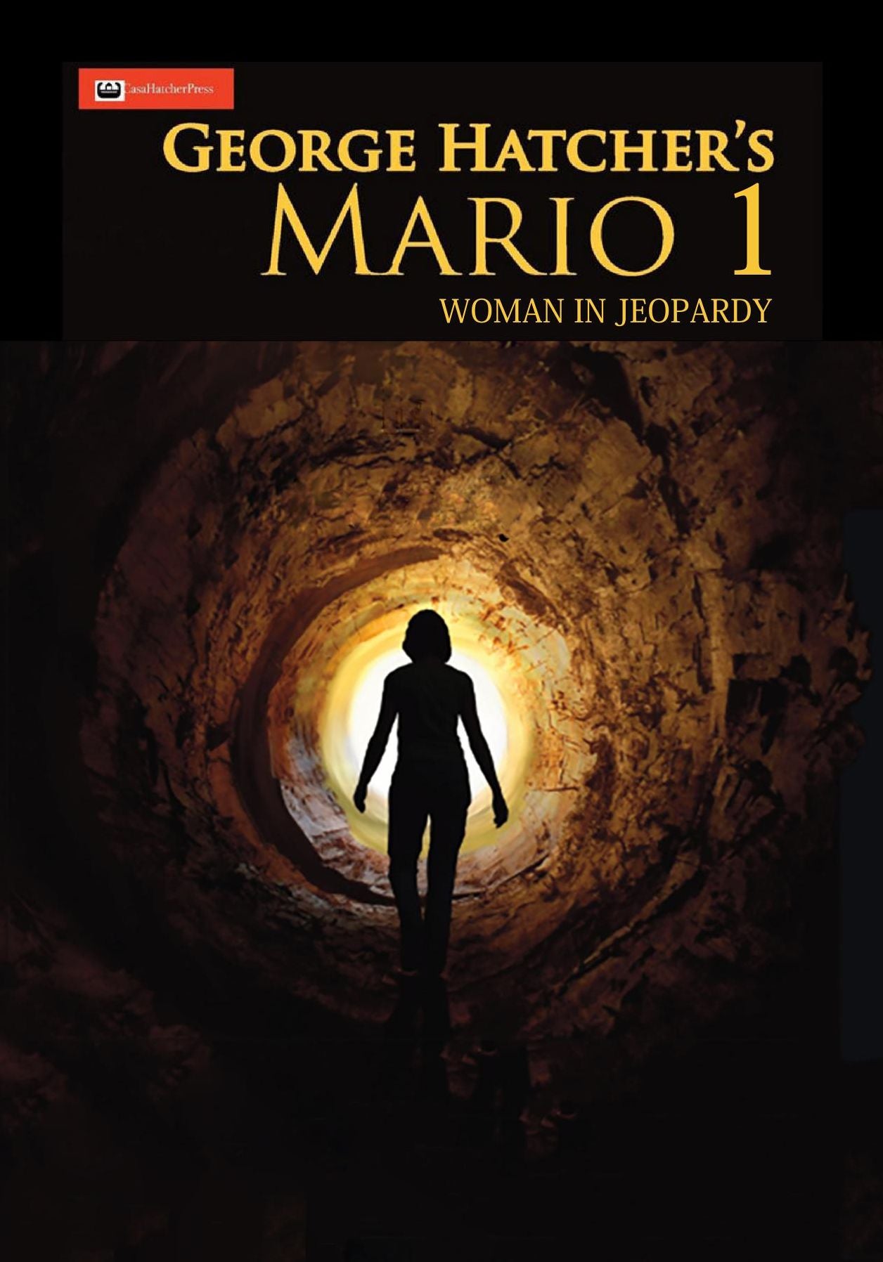 Mario 1: Woman in Jeopardy