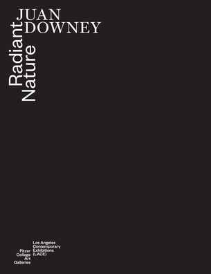 Juan Downey: Radiant Nature