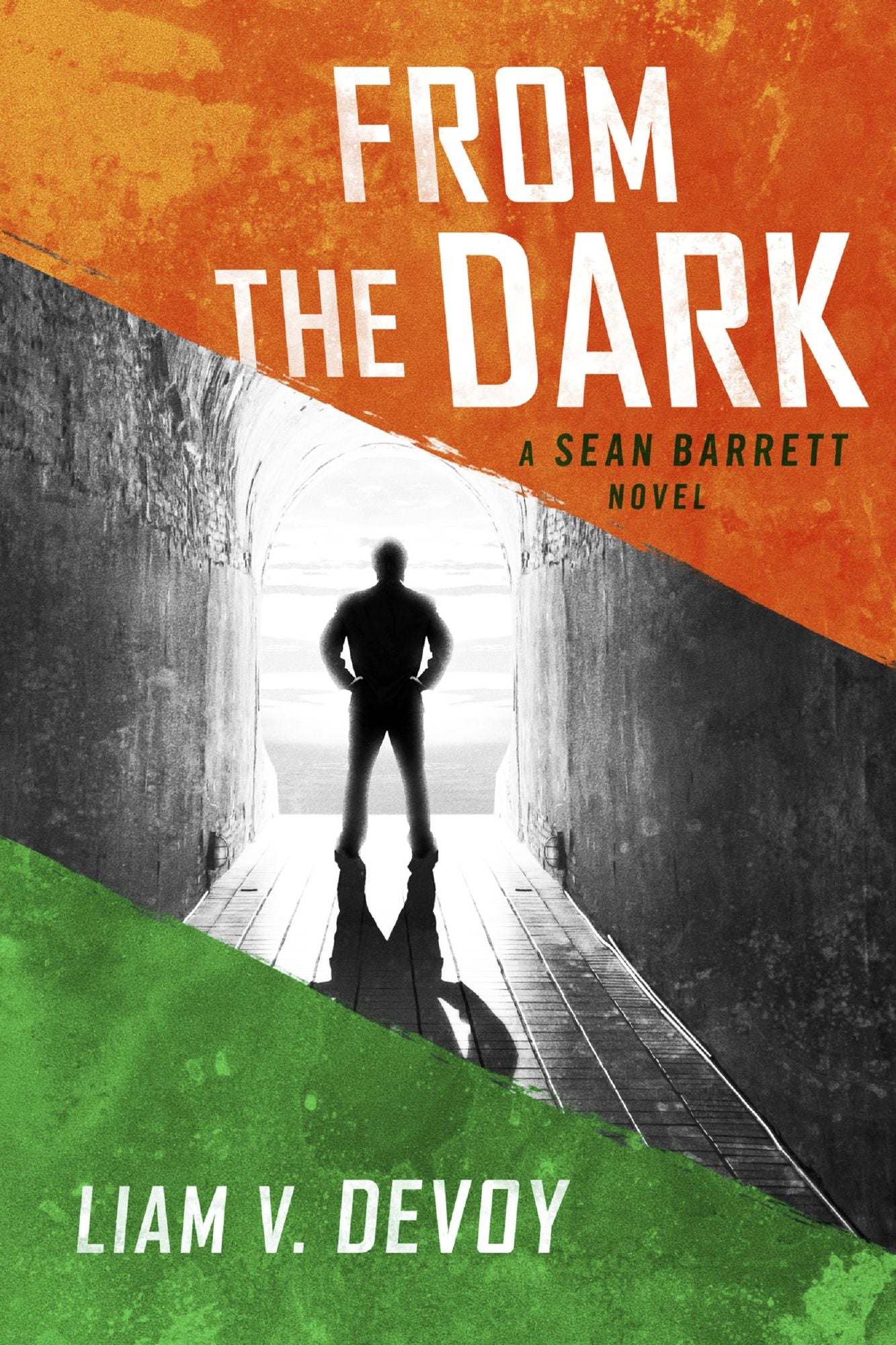 From the Dark: A Sean Barrett Novel