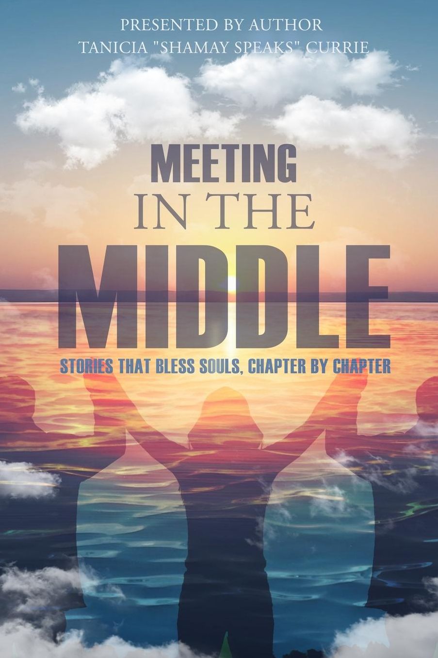 Meeting in the Middle: Stories That Bless Souls, Chapter By Chapter