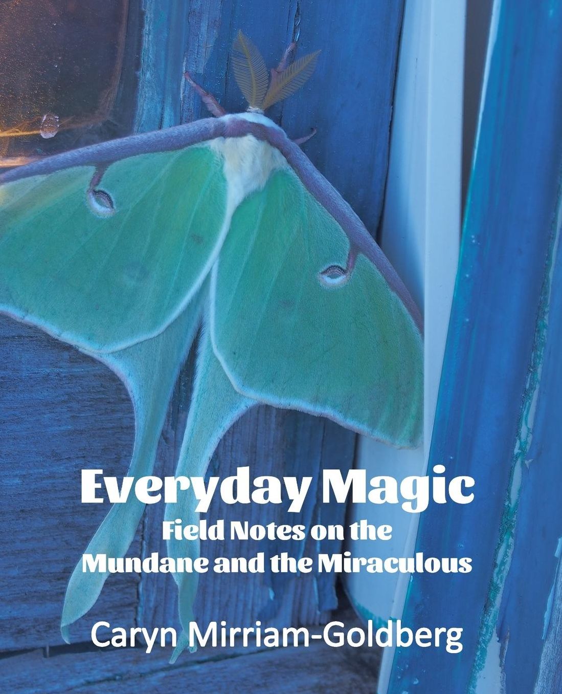 Everyday Magic: Field Notes on the Mundane and the Miraculous