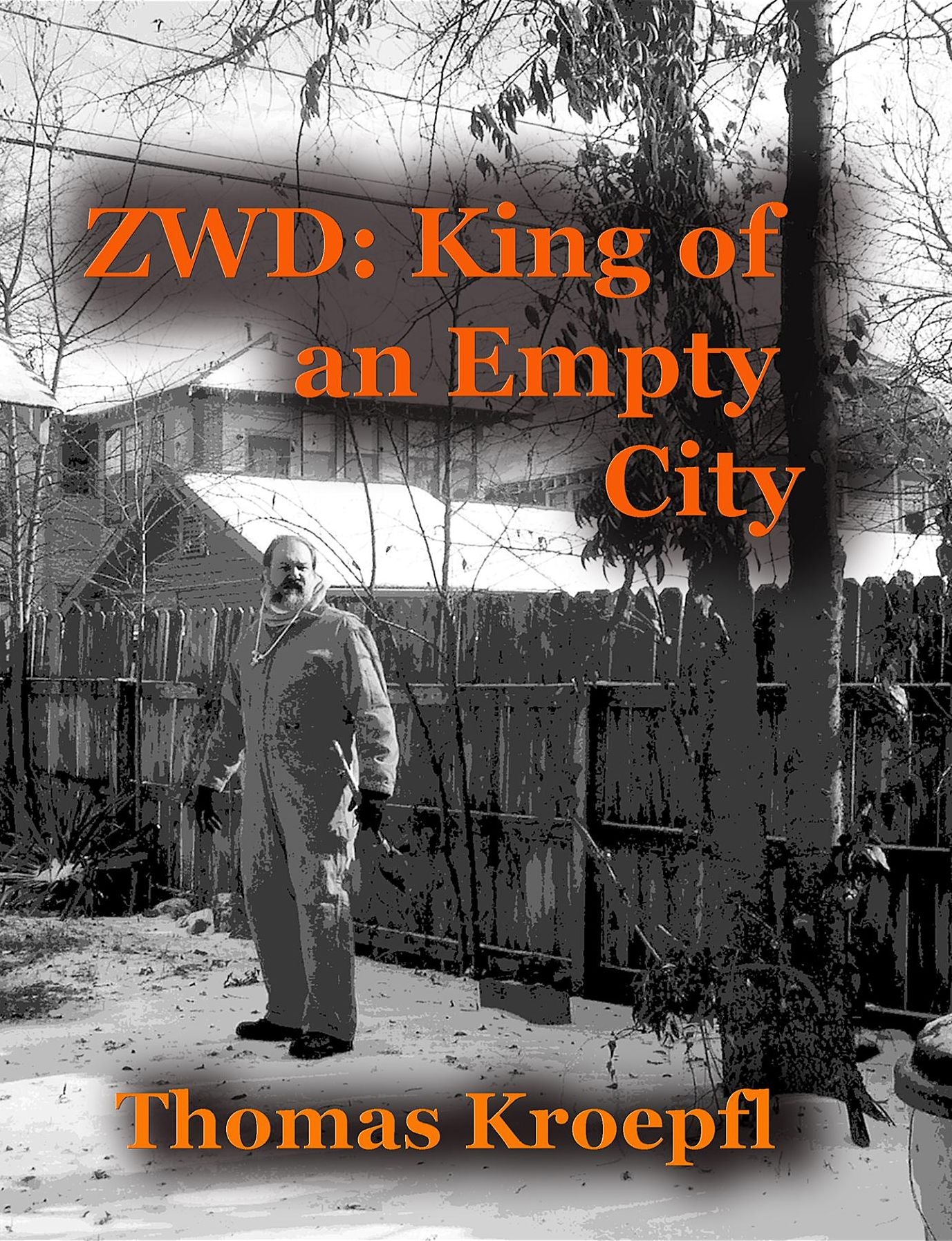 ZWD King of an Empty City