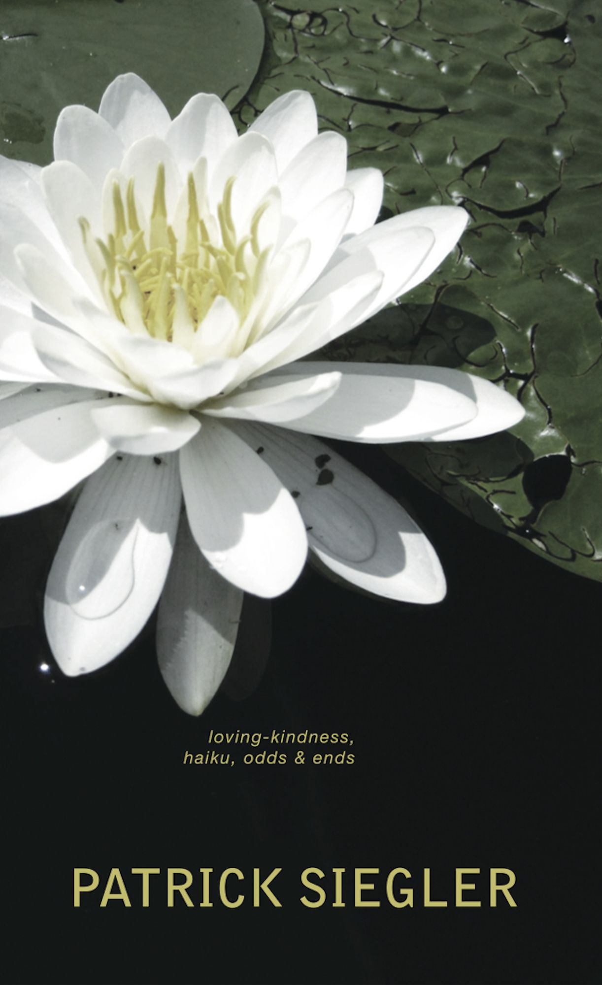 Gently Living: Loving-Kindness, Haiku, Odds & Ends
