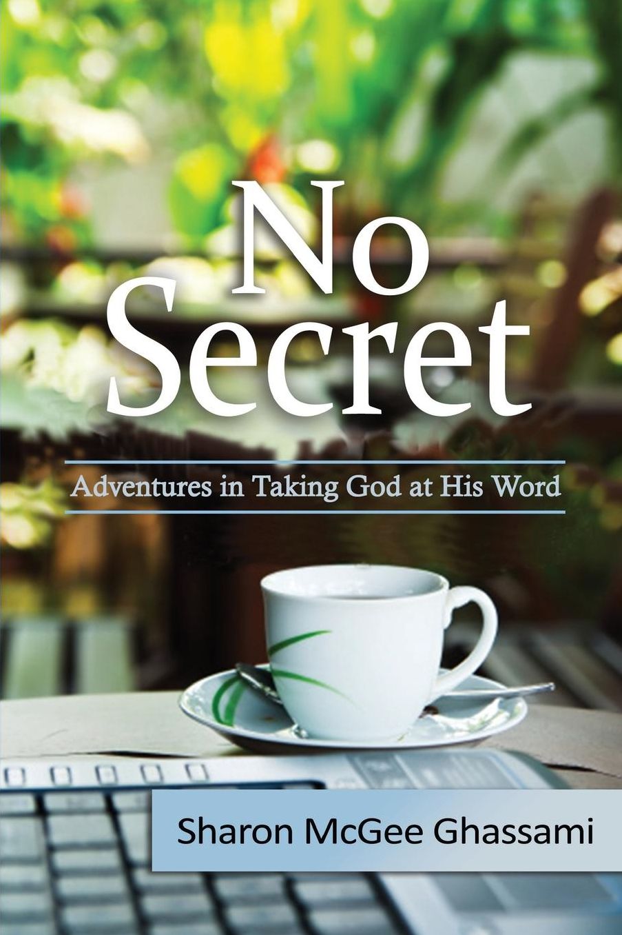 No Secret: Adventures in Taking God at His Word