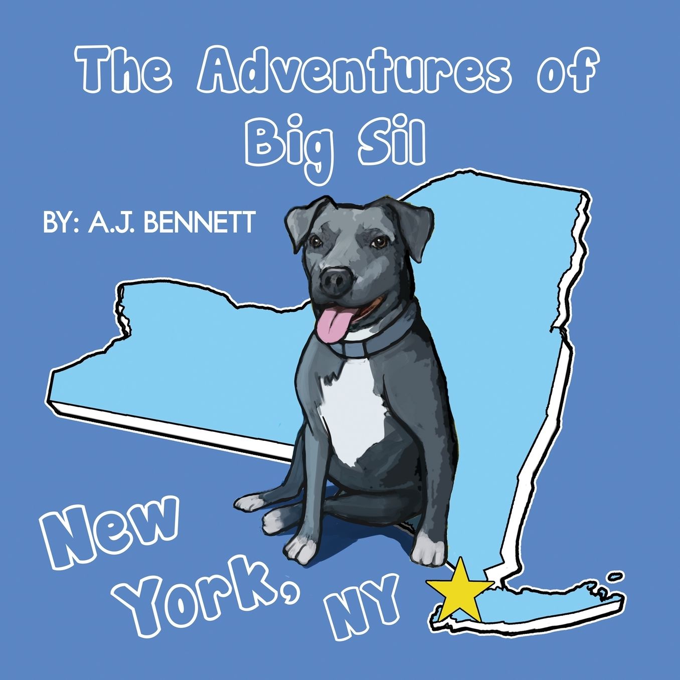 The Adventures of Big Sil New York, NY: Children's Book
