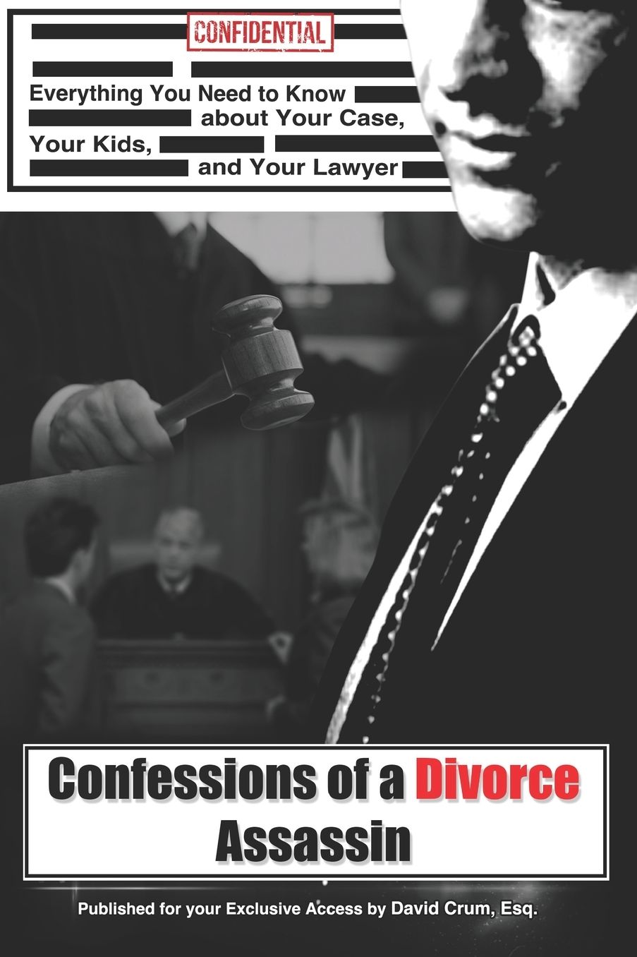 Confessions of a Divorce Assassin: What You Really Need to Know about Your Case, Your Kids, and Your Lawyer