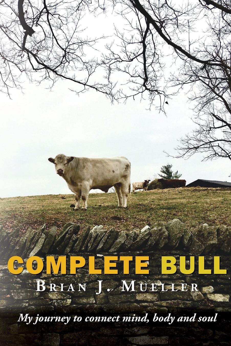 Complete Bull: My journey to connect mind, body and soul.