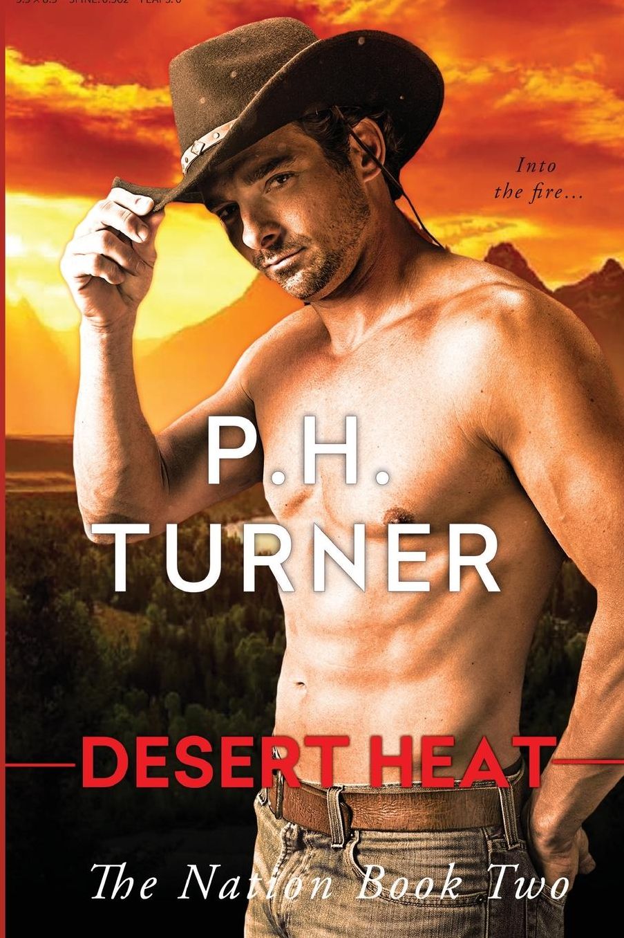 Desert Heat: Book 2 in the Nation Series