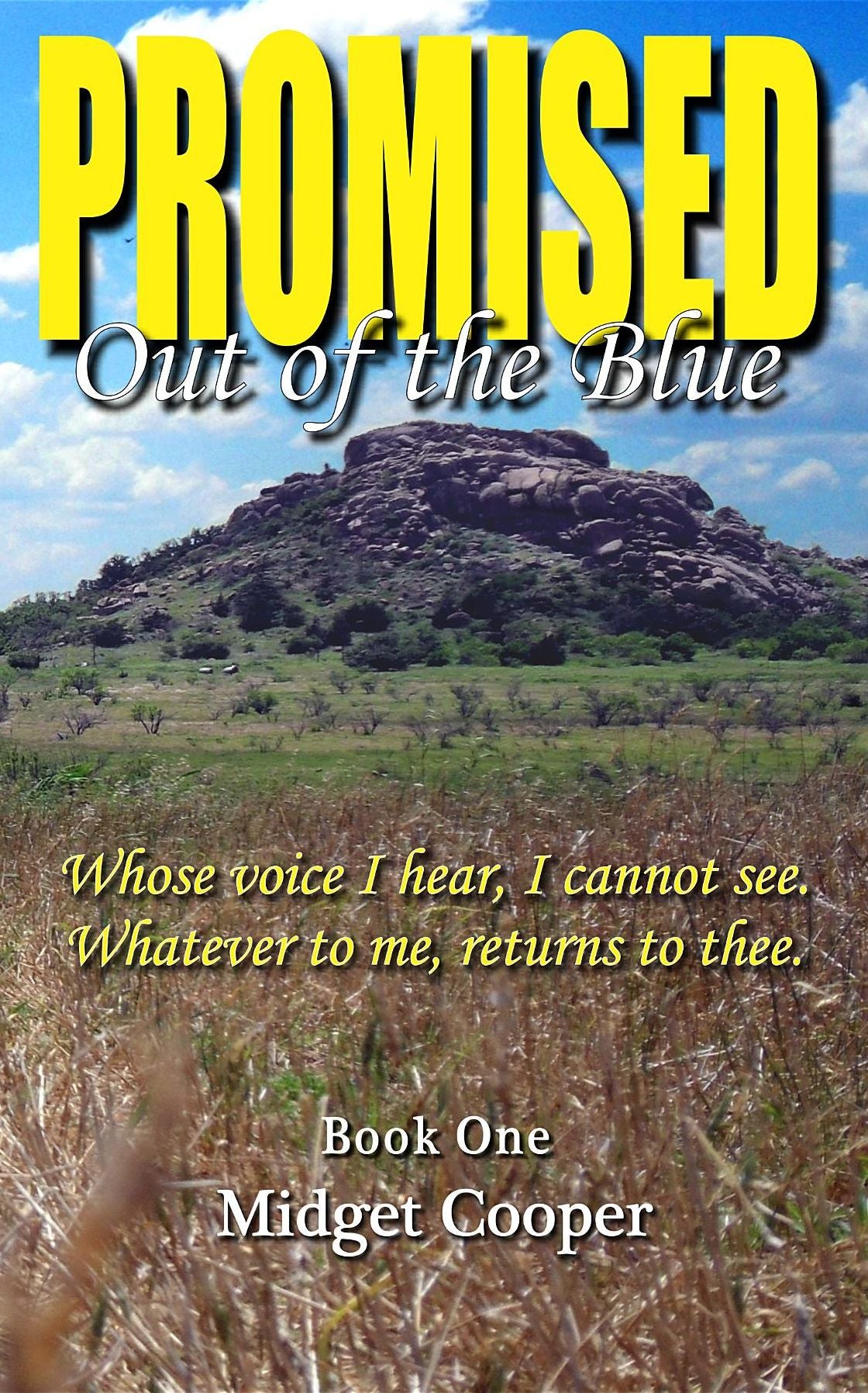 Promised: Out of the Blue