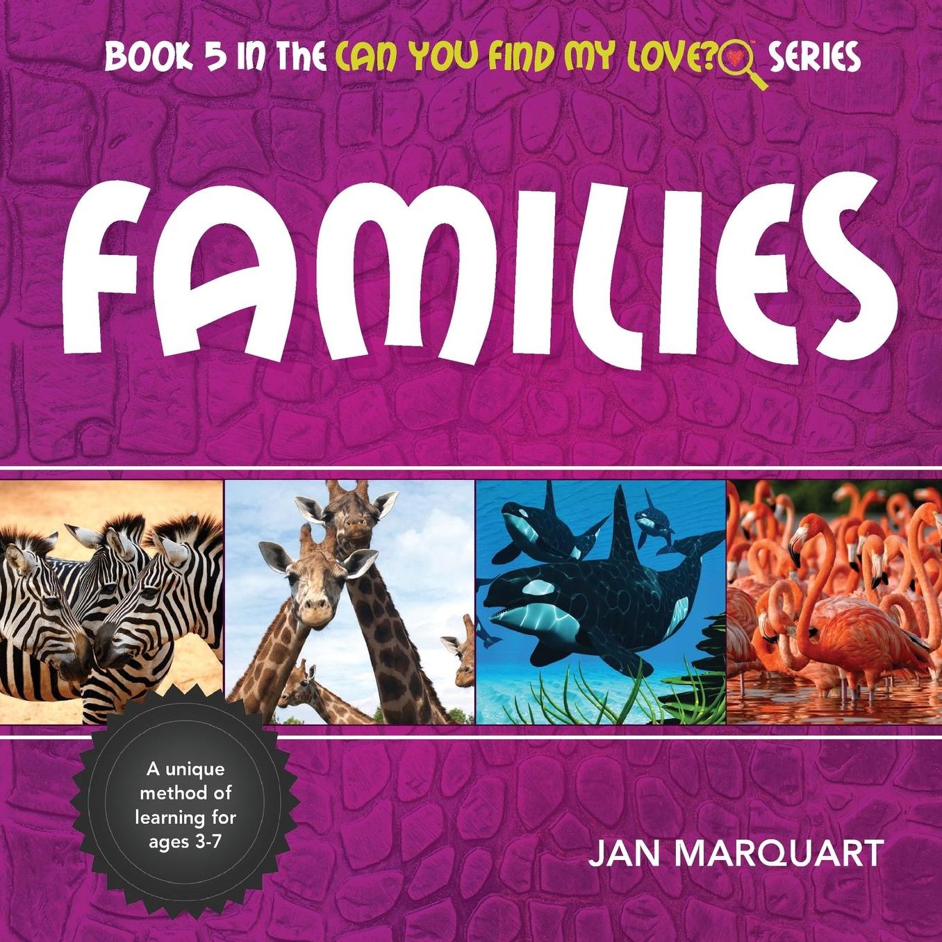 Families: Book 5 in the Can You Find My Love? Series
