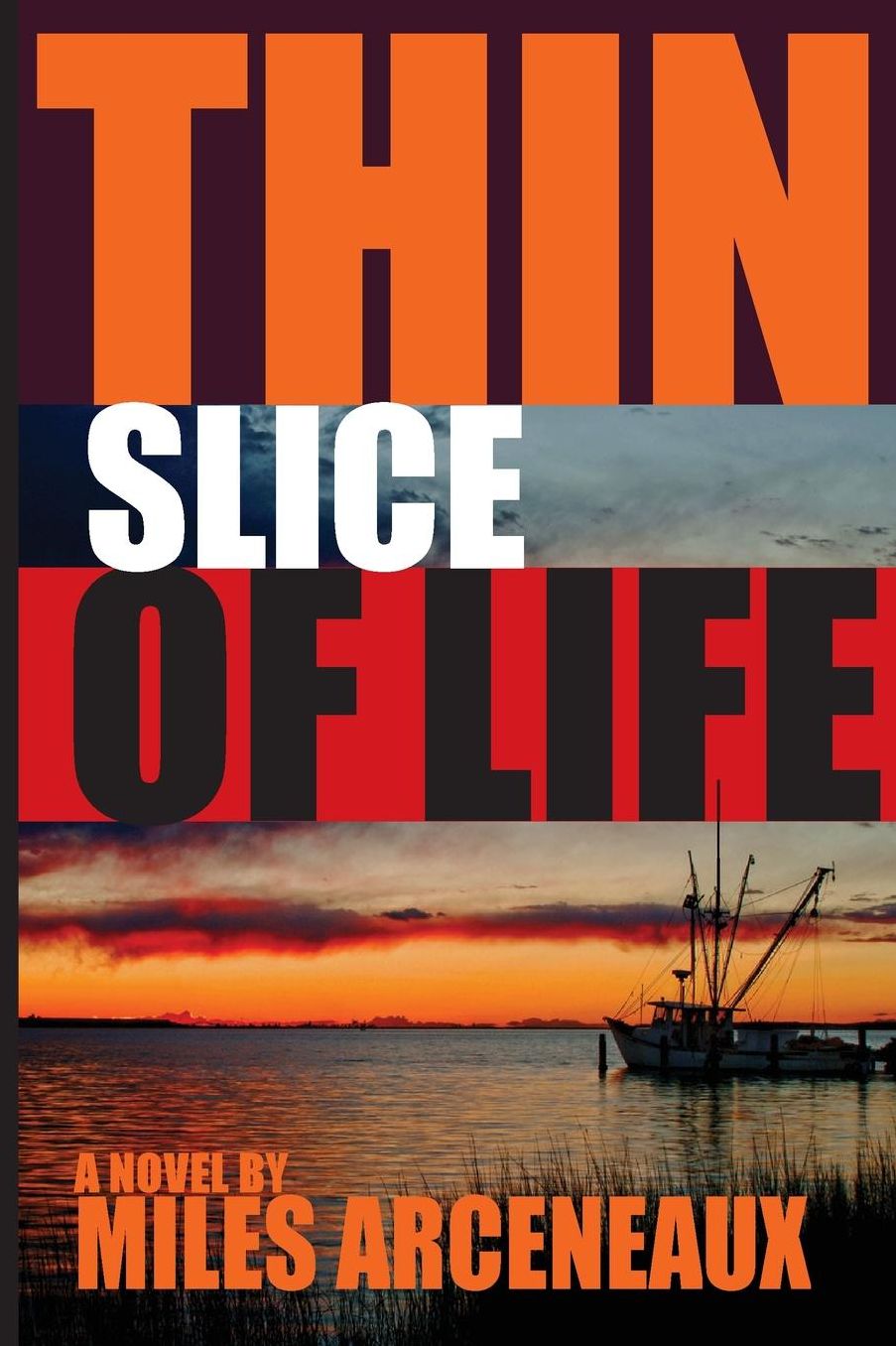 Thin Slice of Life