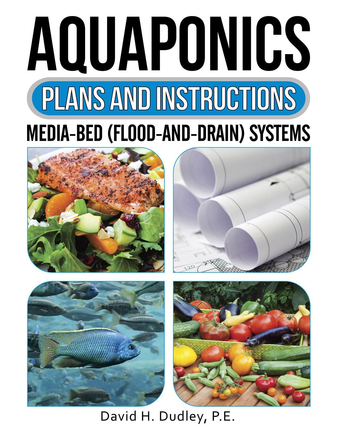 Aquaponics Plans and Instructions: Media-Bed (Flood-and-Drain) Systems