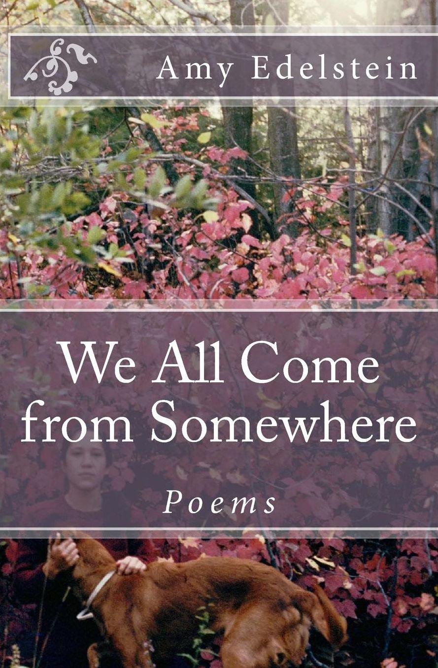 We All Come from Somewhere