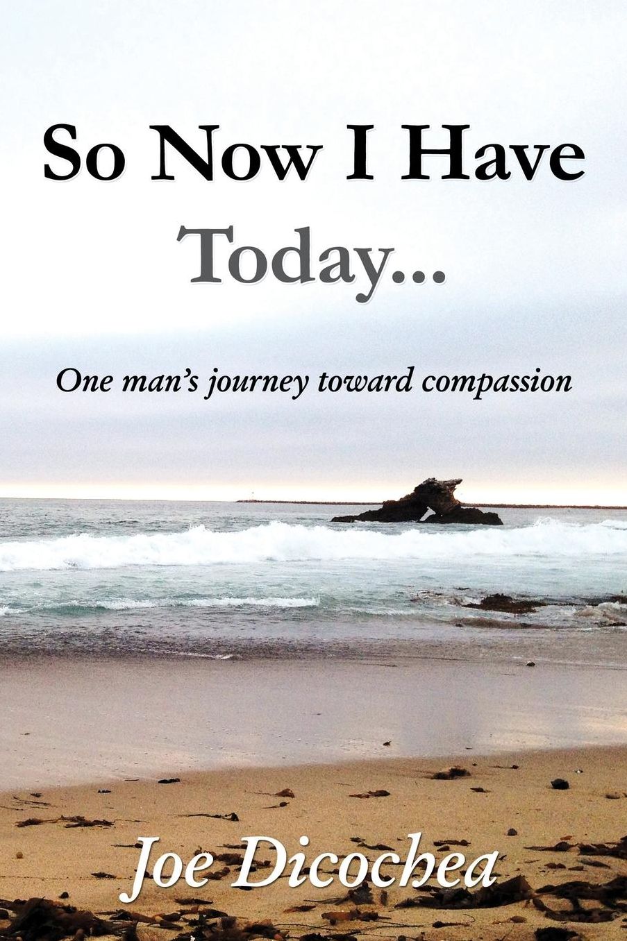 So Now I Have Today... One man's journey toward compassion