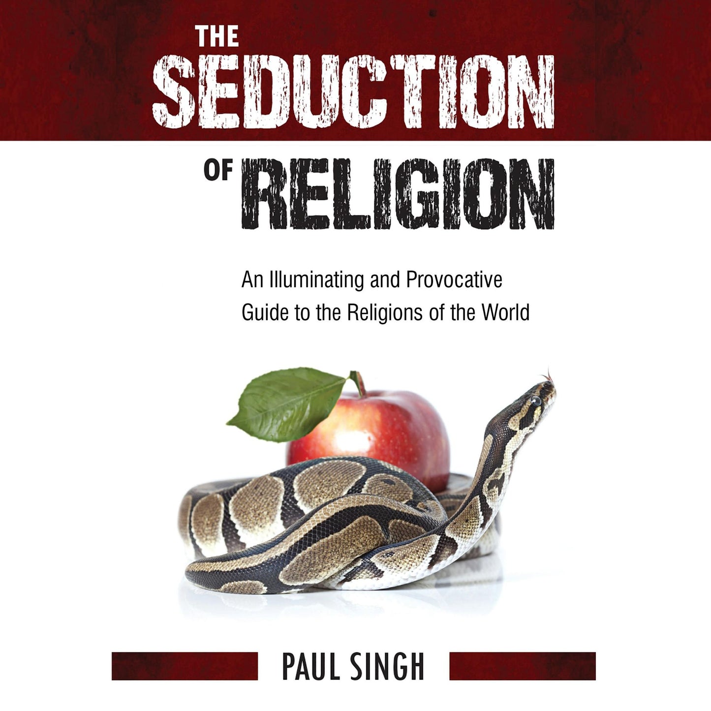 Seduction of Religion: An Illuminating and Provocative Guide to the Religions of the World