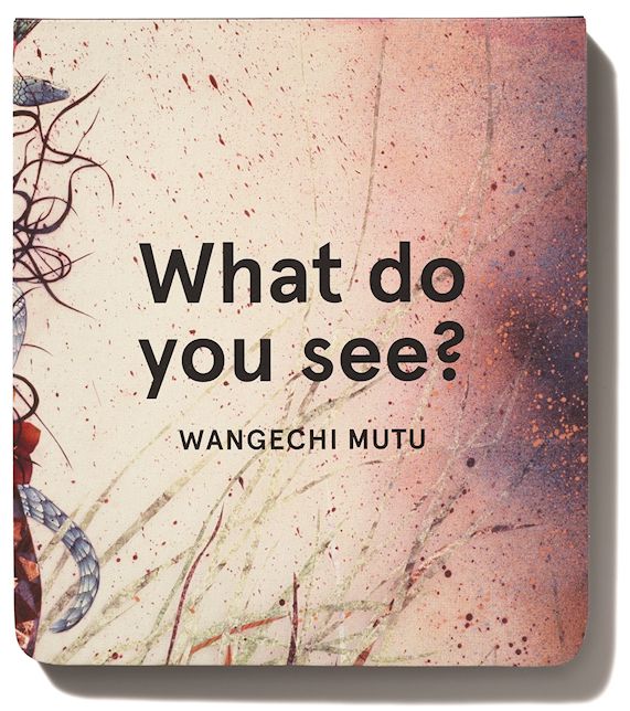 What do you see?