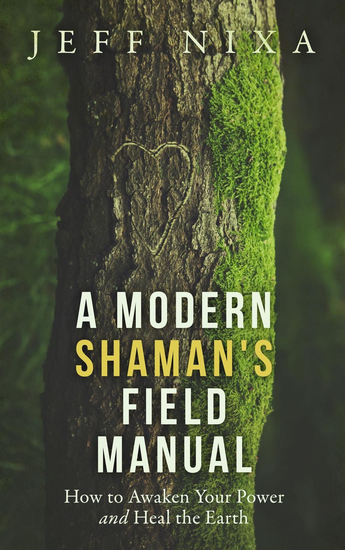 A Modern Shaman's Field Manual: How to Awaken Your Power and Heal the Earth