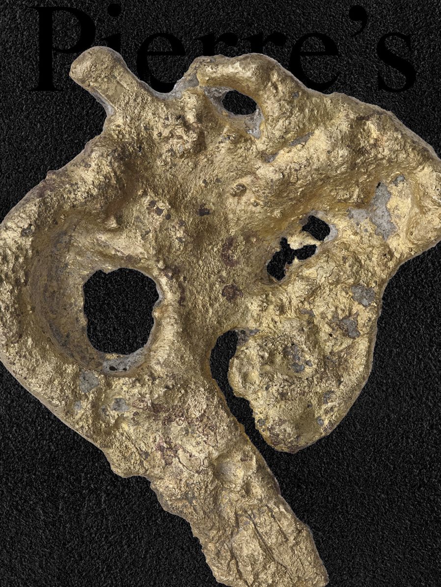 Pierre's Issue 01: Devoted to Pierre Huyghe
