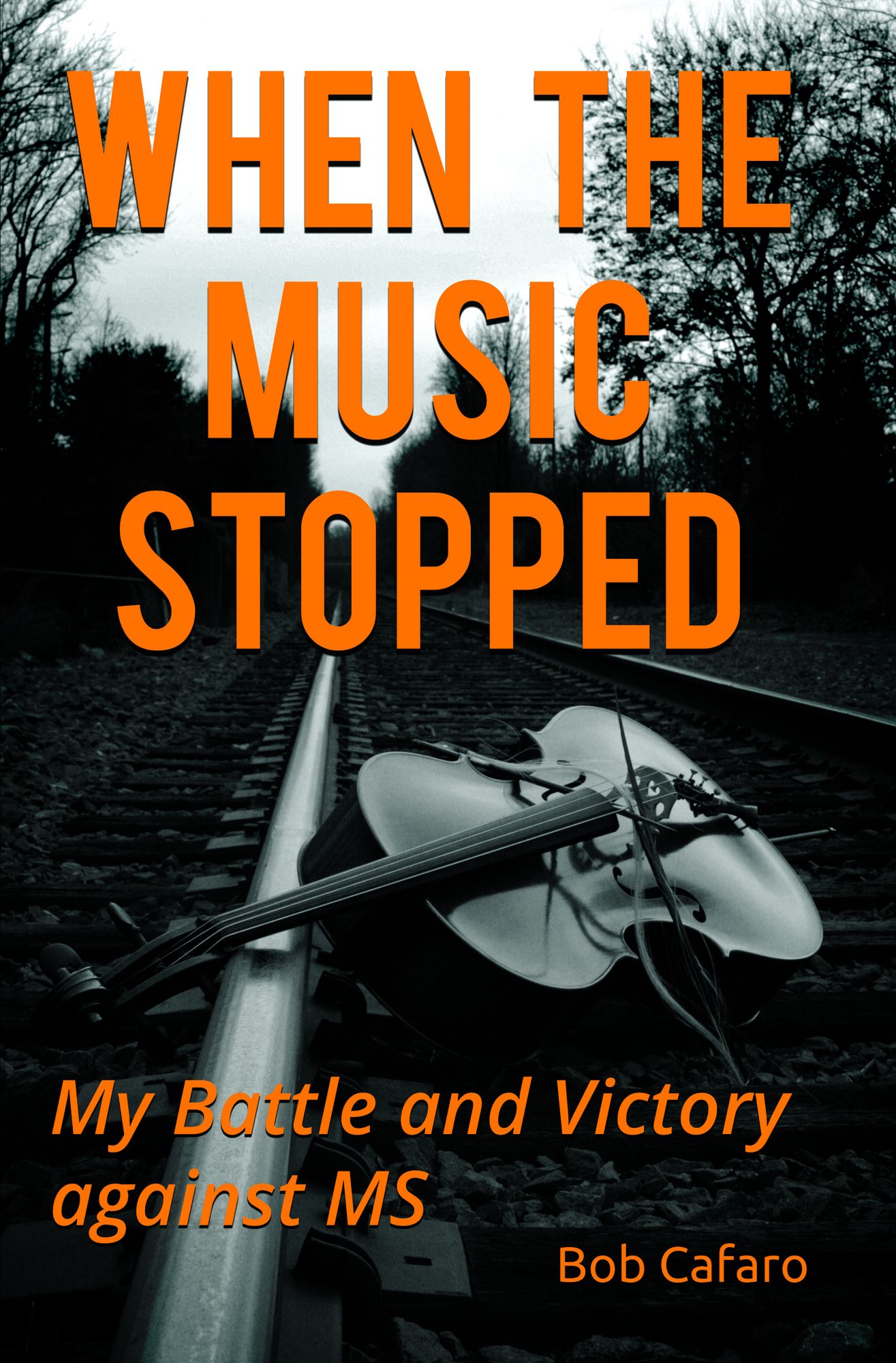 When the Music Stopped: My Battle and Victory against MS