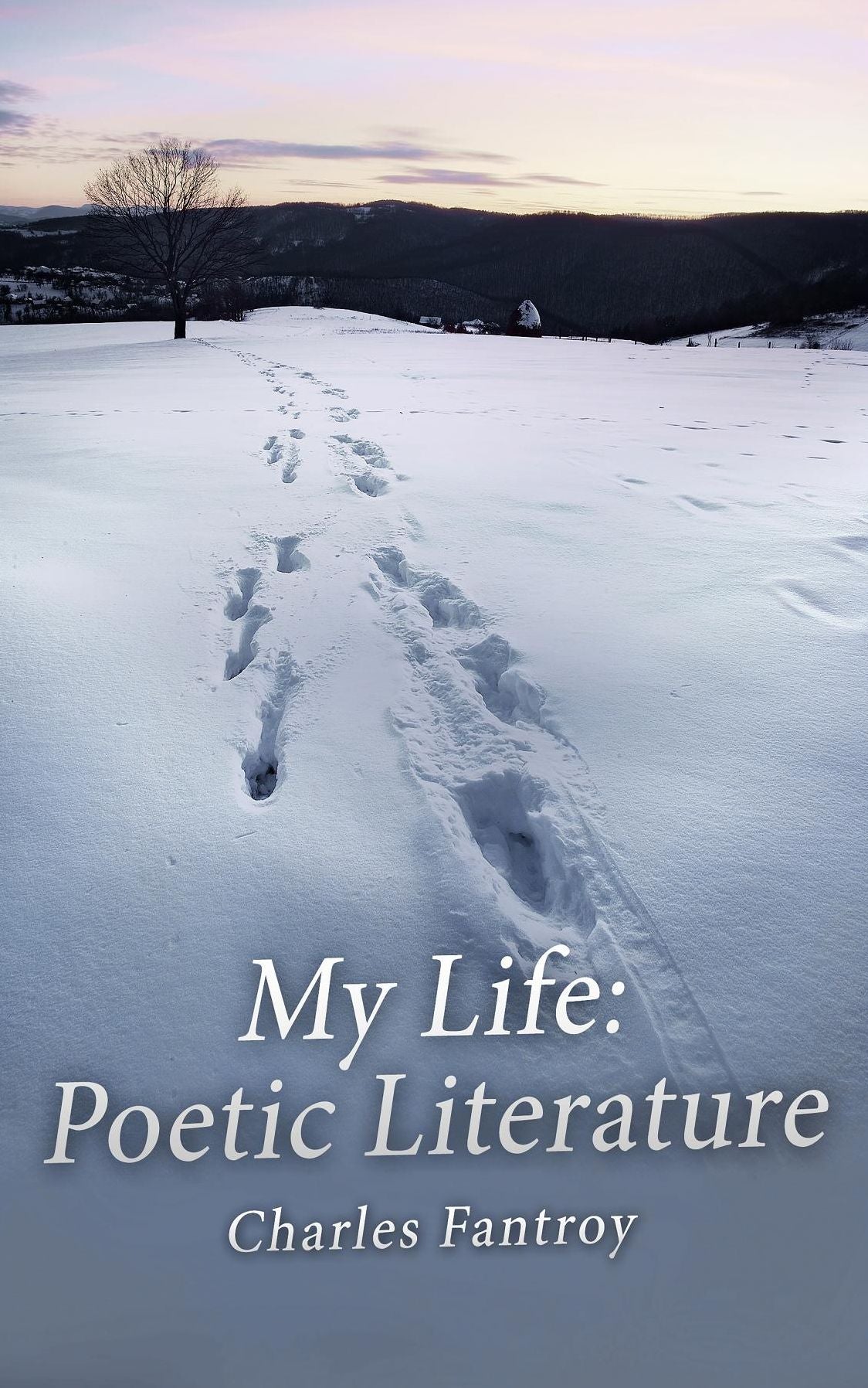 My Life: Poetic Literature