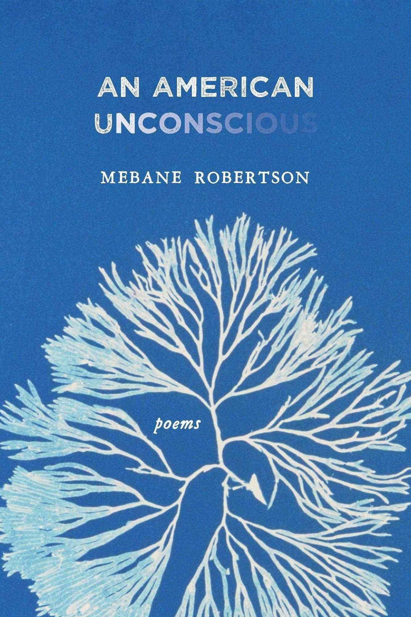 An American Unconscious