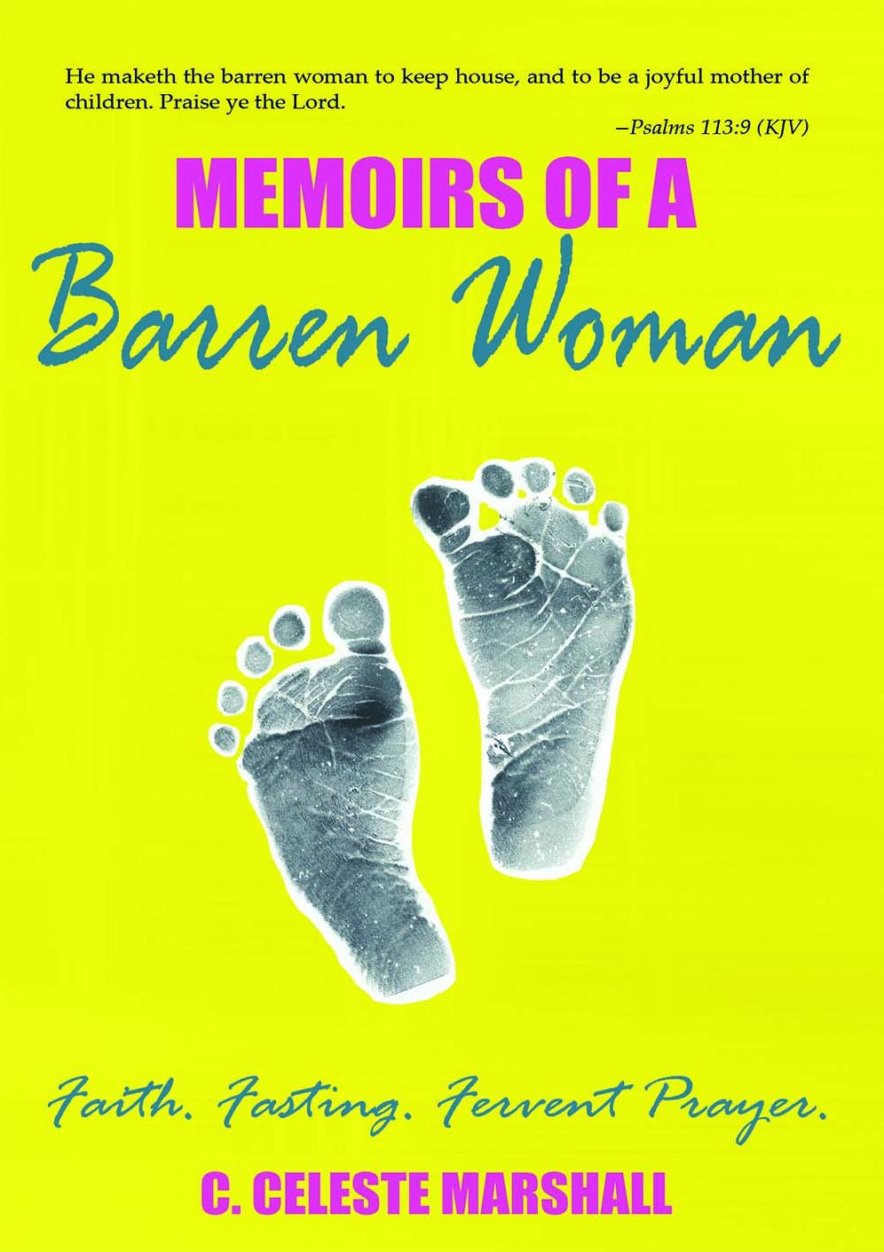 Memoirs of a Barren Woman