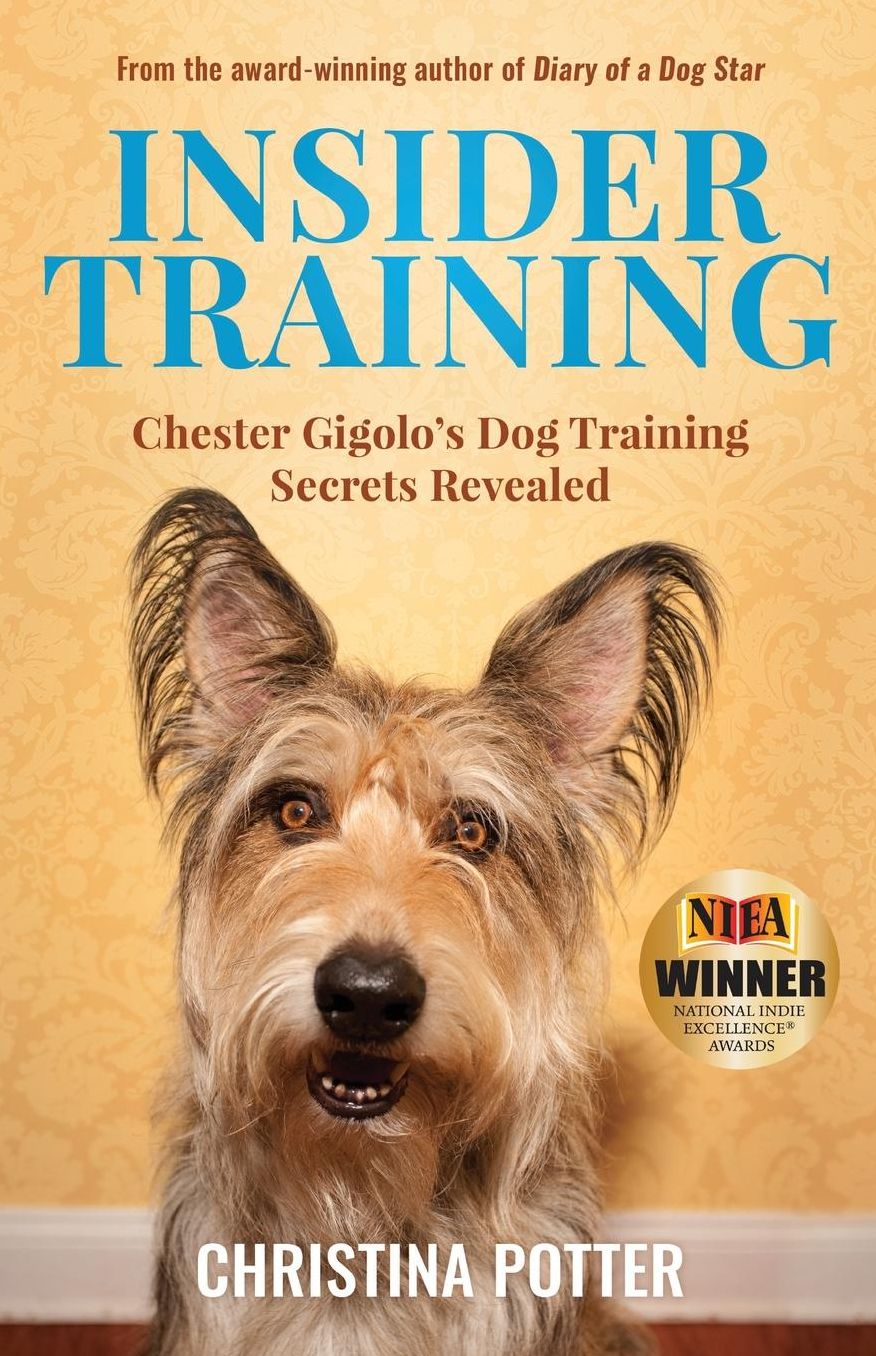 Insider Training: Chester Gigolo's Dog Training Secrets Revealed