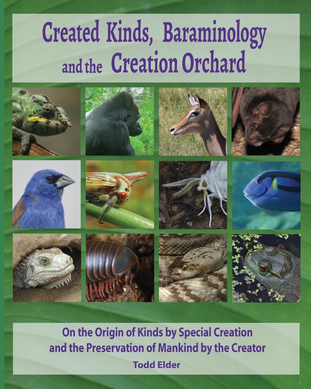 Created Kinds, Baraminology, and the Creation Orchard: On the Origin of Kinds by Special Creation and the Preservation of Mankind by the Creator