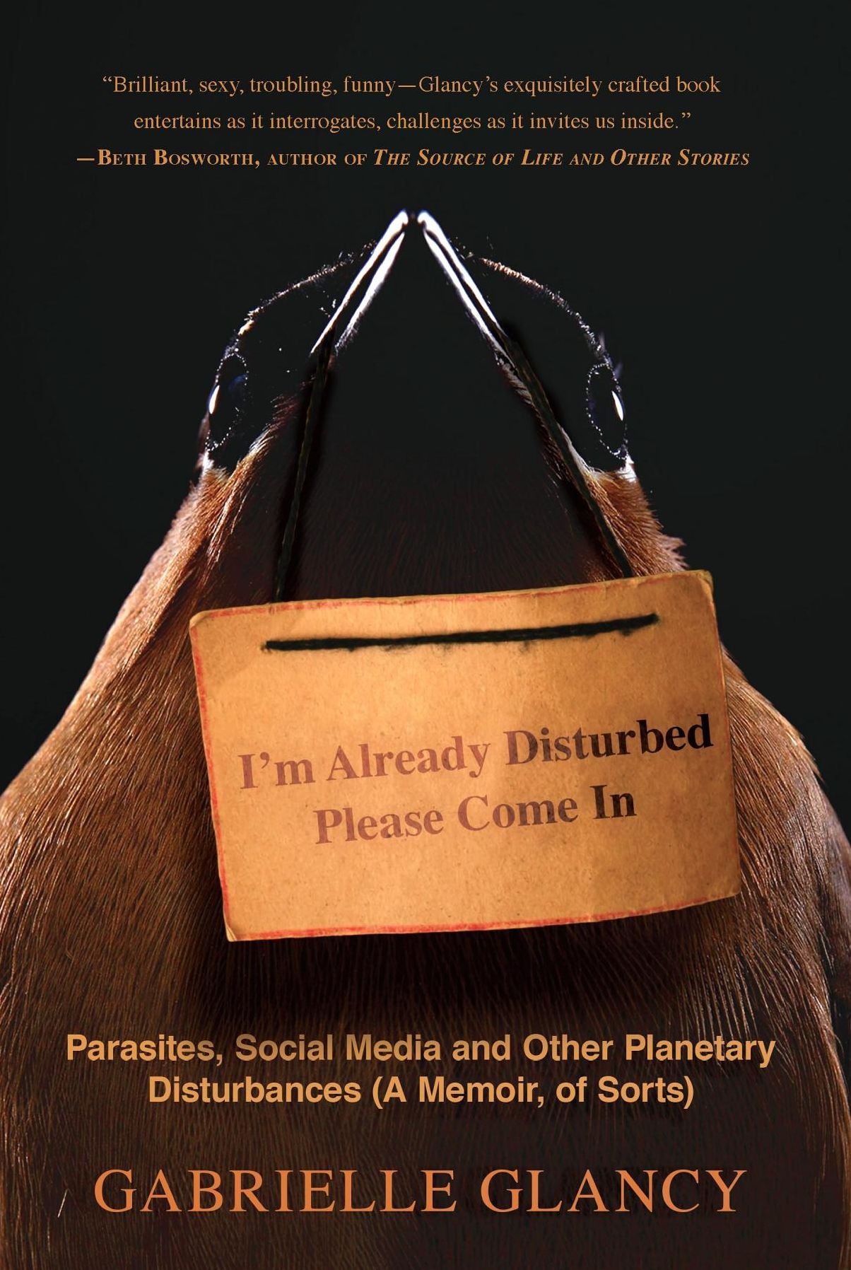 I'm Already Disturbed Please Come In: Parasites, Social Media and Other Planetary Disturbances (A Memoir, of Sorts)