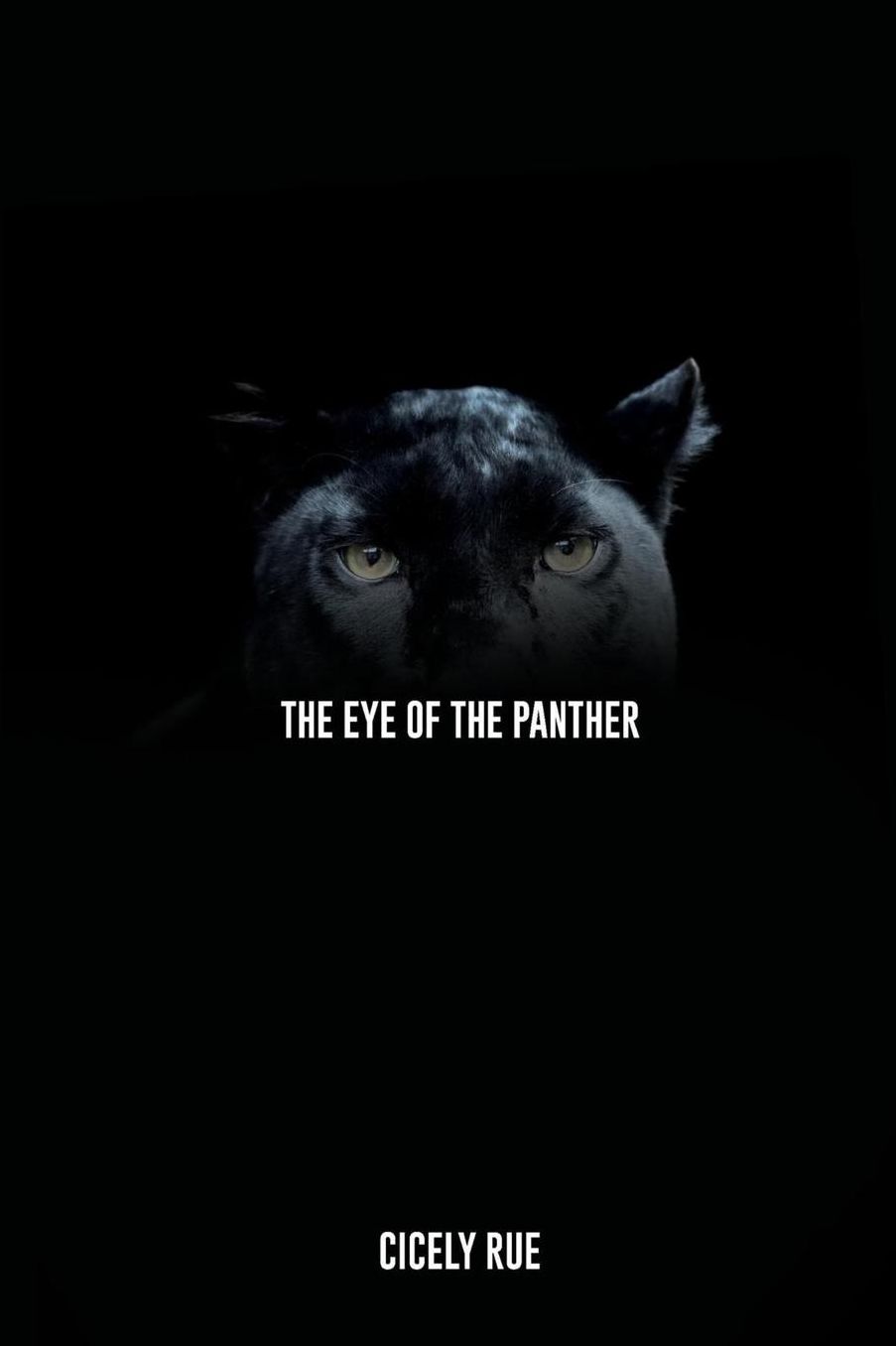 The Eye of the Panther: Book One of The Eye of the Panther Series