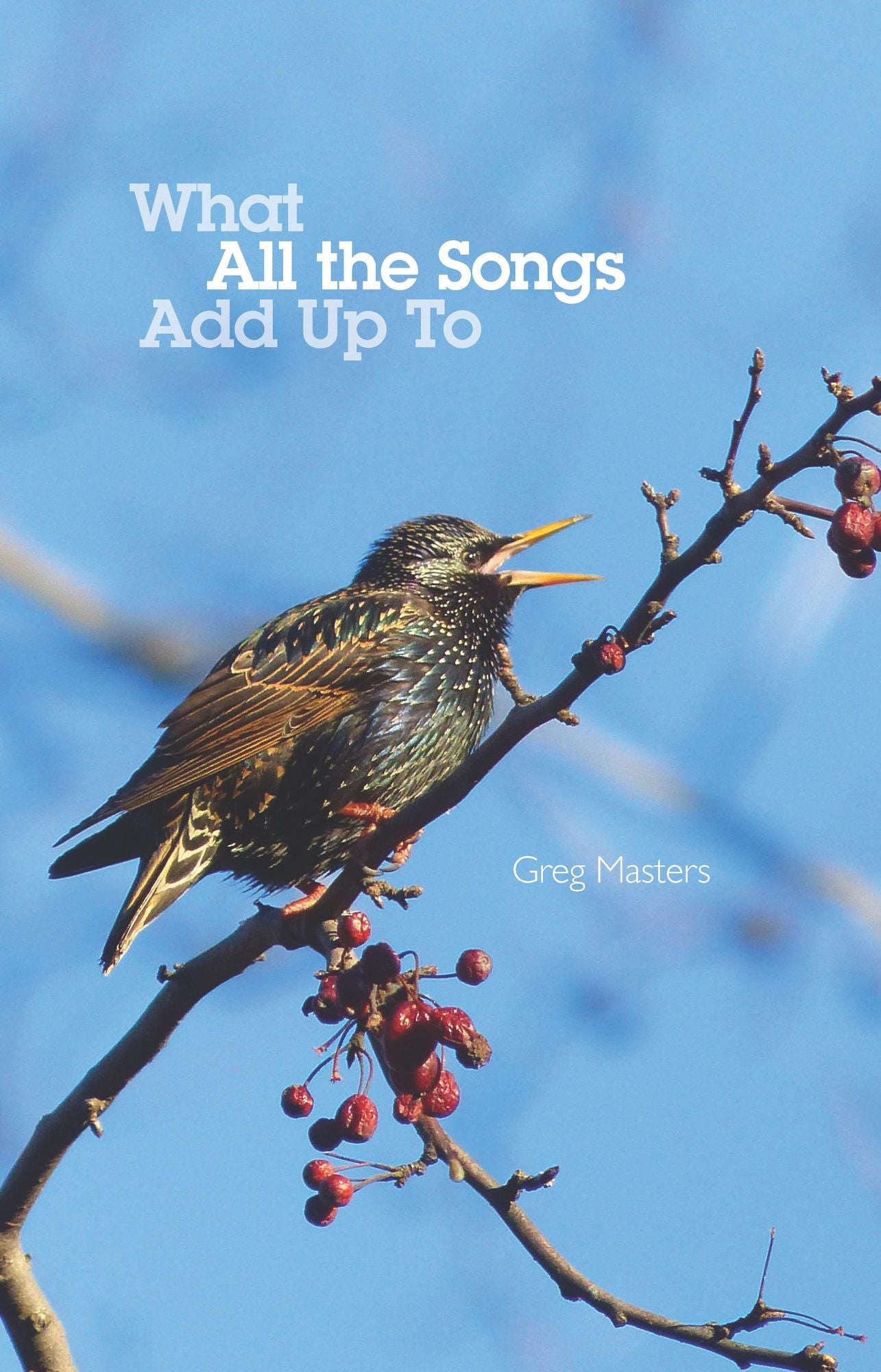 What All the Songs Add Up To: Poems