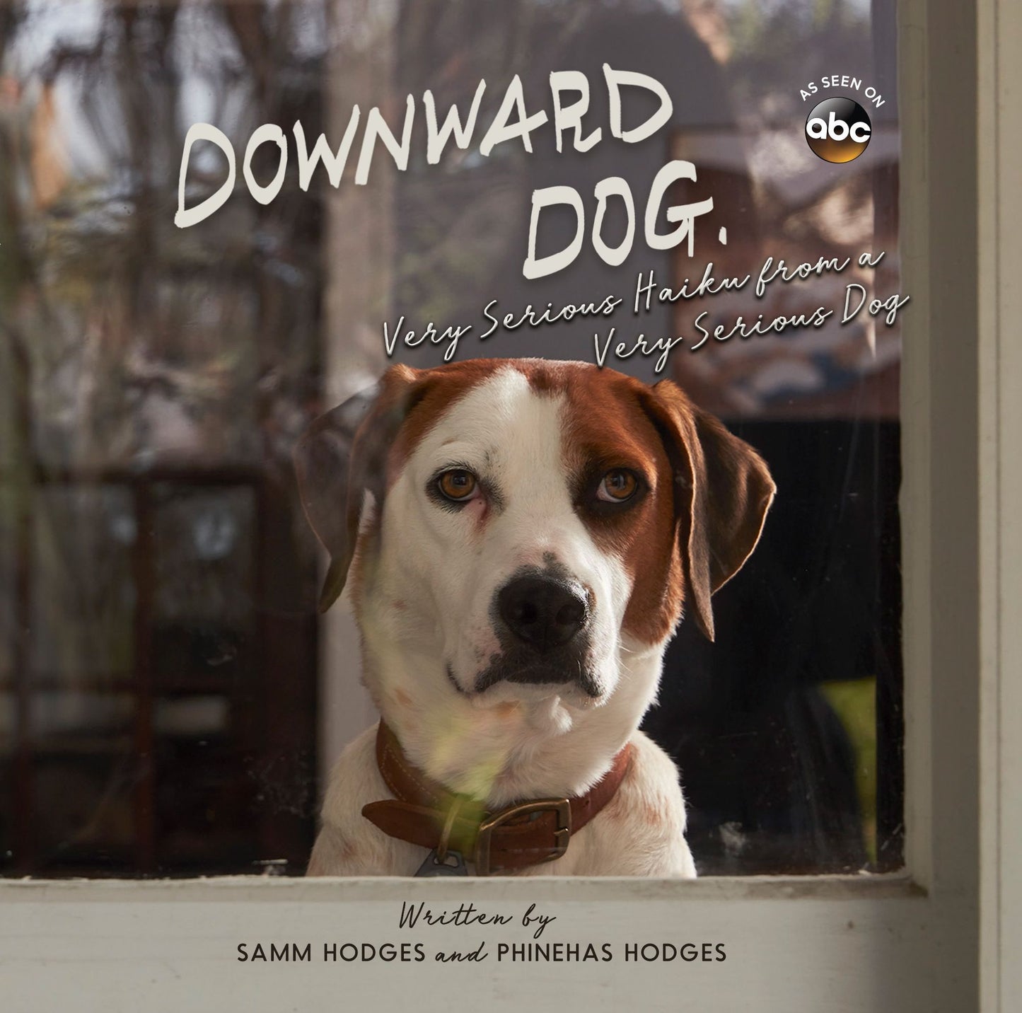 Downward Dog: Very Serious Haiku from a Very Serious Dog