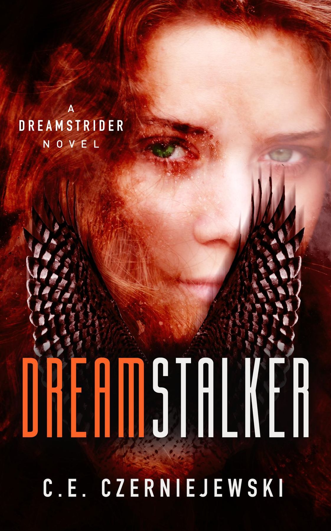 Dreamstalker: A Dreamstrider Novel