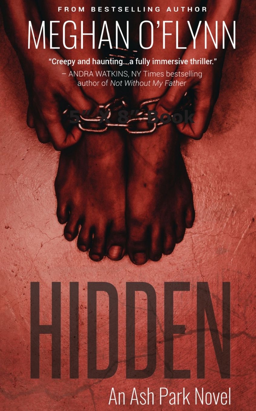 Hidden: An Ash Park Novel (#4)