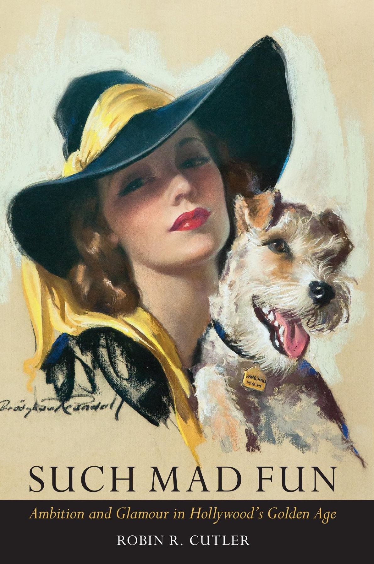 Such Mad Fun: Ambition and Glamour in Hollywood's Golden Days