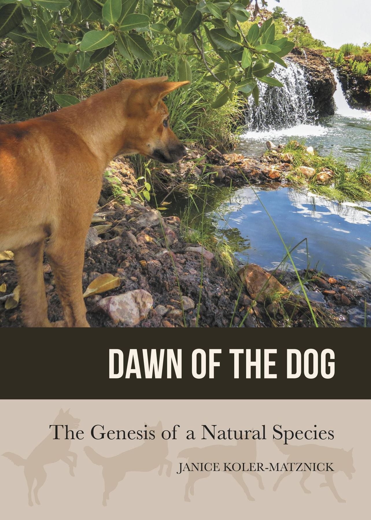 Dawn of the Dog: The Genesis of a Natural Species