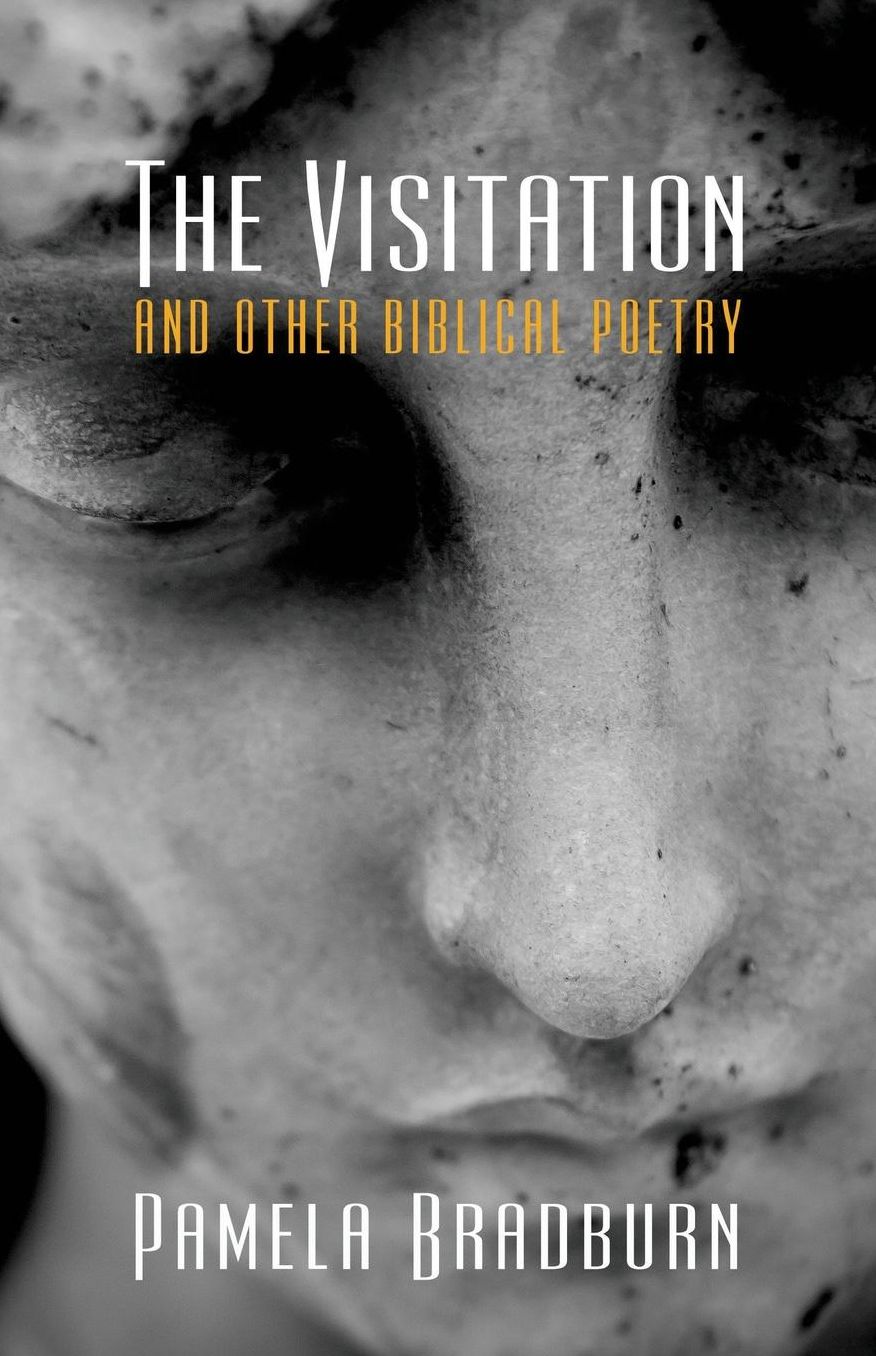 The Visitation and Other Biblical Poetry