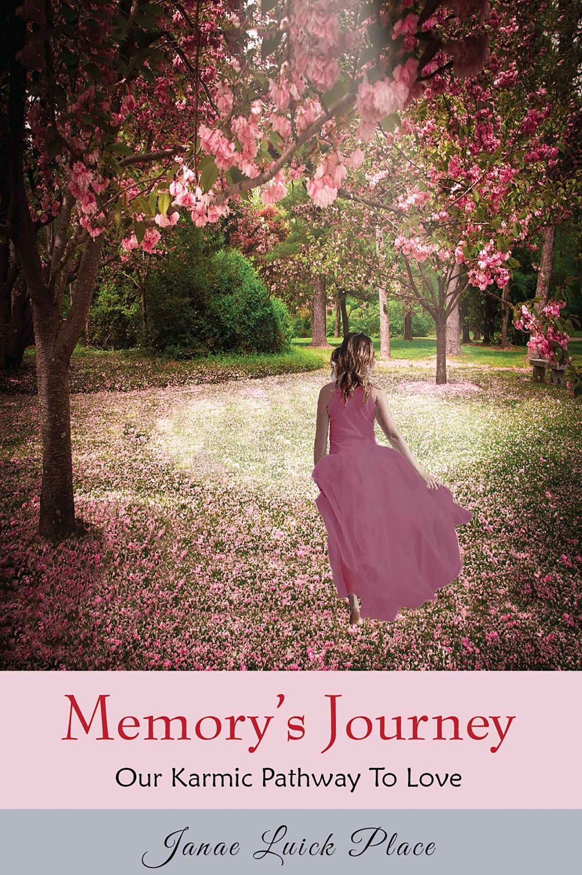 Memory's Journey: Our Karmic Pathway To Love