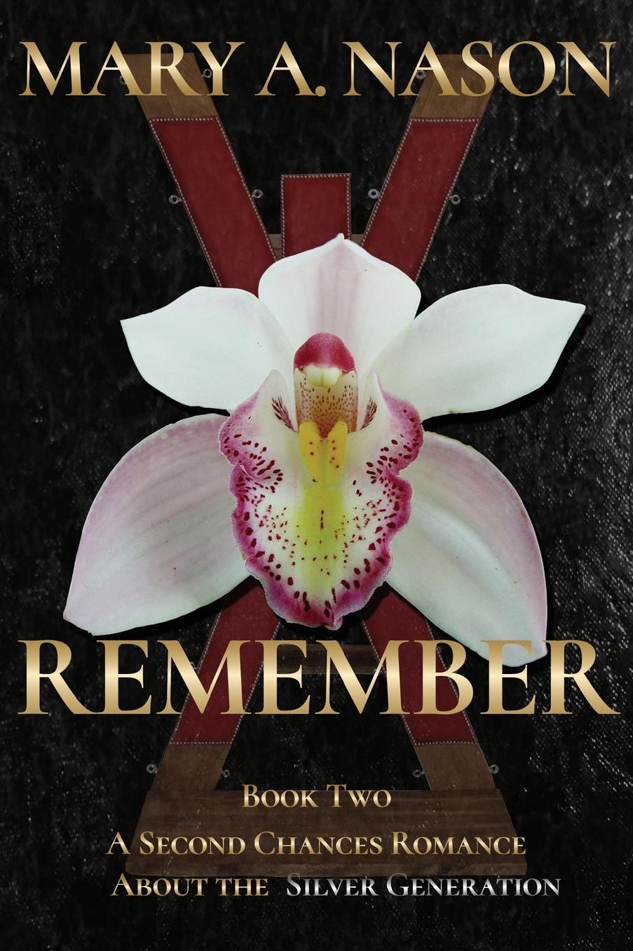 Remember: A Second Chances Book - Book Two