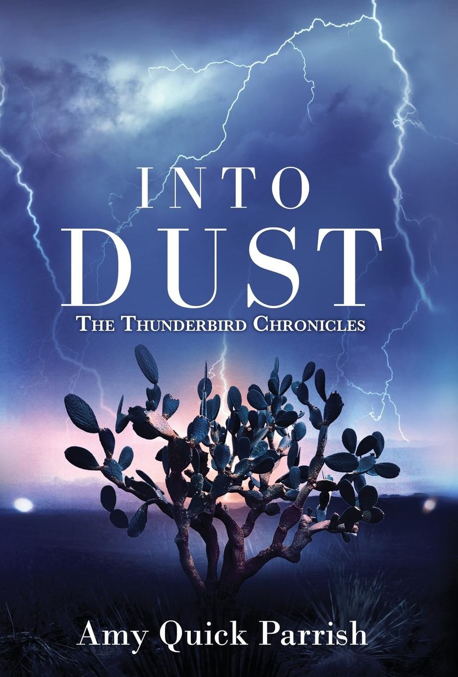 Into Dust - The Thunderbird Chronicles